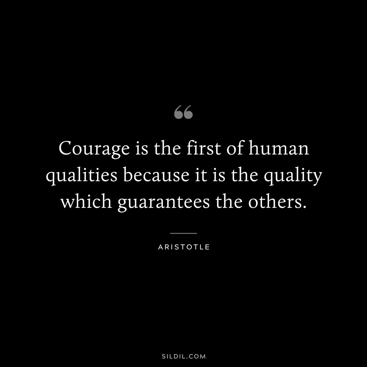 Courage is the first of human qualities because it is the quality which guarantees the others. ― Aristotle