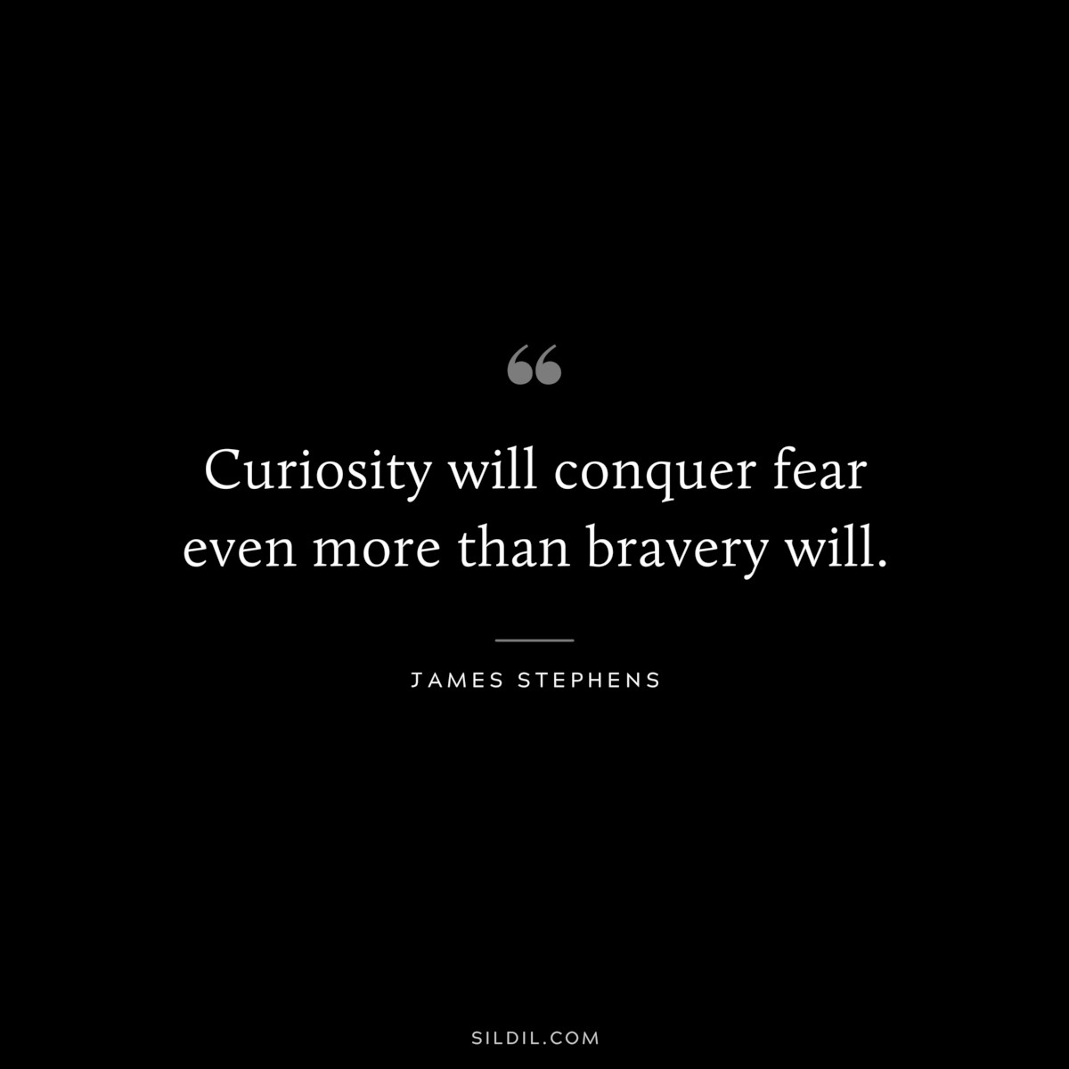 Curiosity will conquer fear even more than bravery will. ― James Stephens