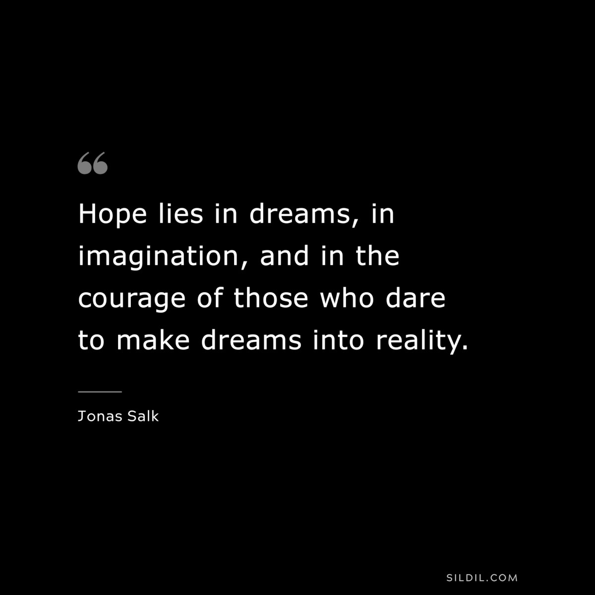 Hope lies in dreams, in imagination, and in the courage of those who dare to make dreams into reality. ― Jonas Salk