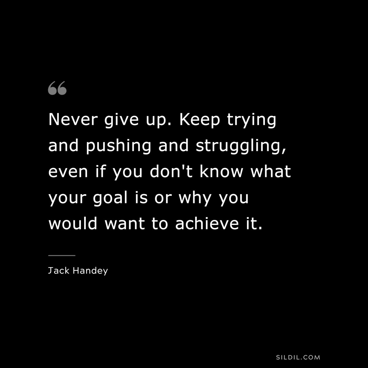 Never give up. Keep trying and pushing and struggling, even if you don't know what your goal is or why you would want to achieve it. ― Jack Handey