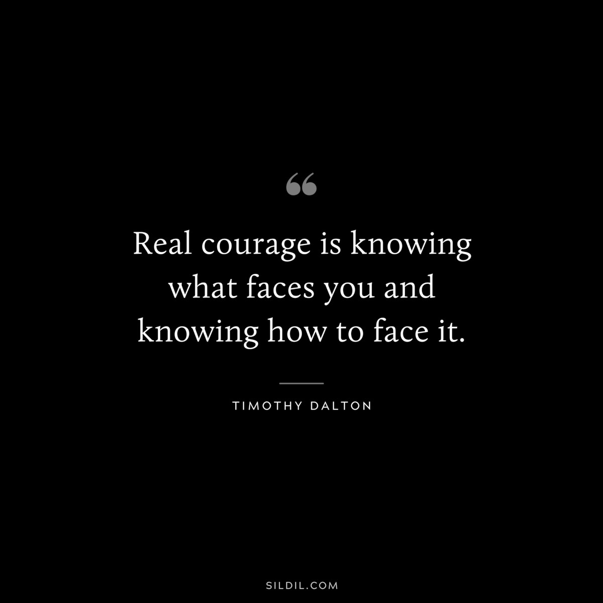 Real courage is knowing what faces you and knowing how to face it. ― Timothy Dalton