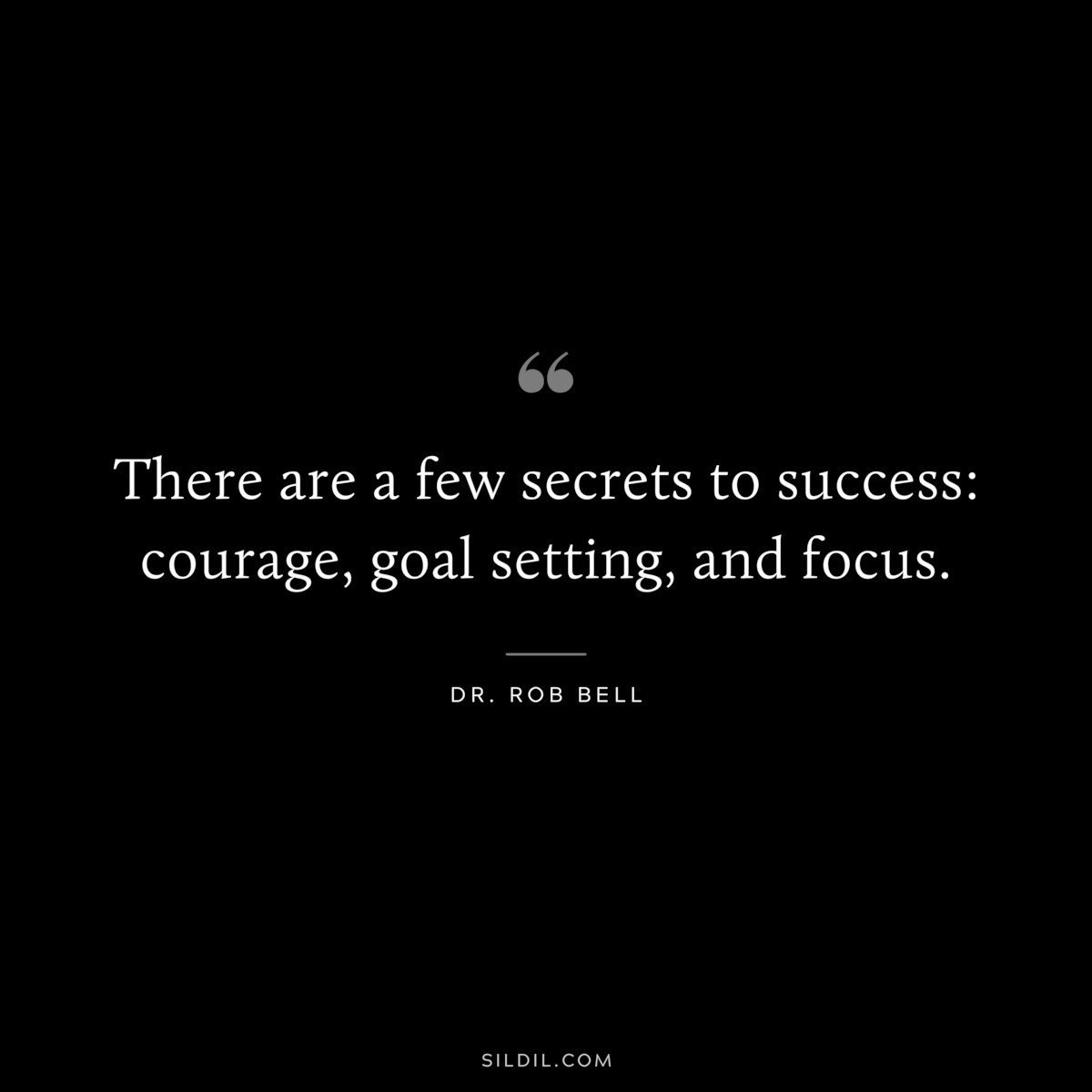 There are a few secrets to success: courage, goal setting, and focus. ― Dr. Rob Bell