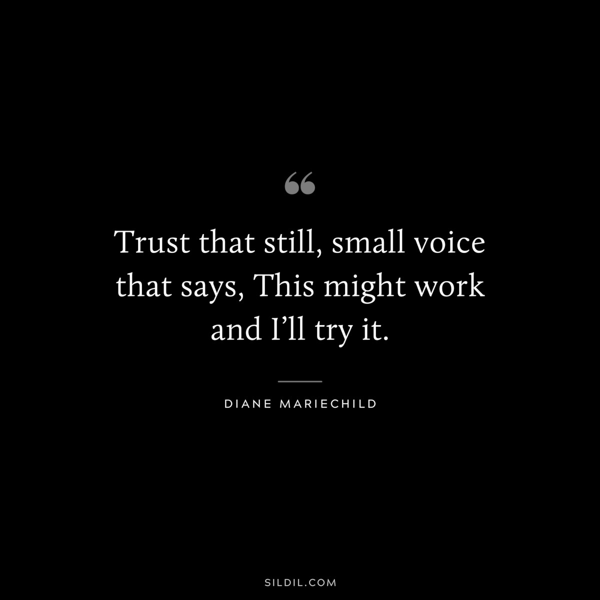 Trust that still, small voice that says, This might work and I’ll try it. ― Diane Mariechild
