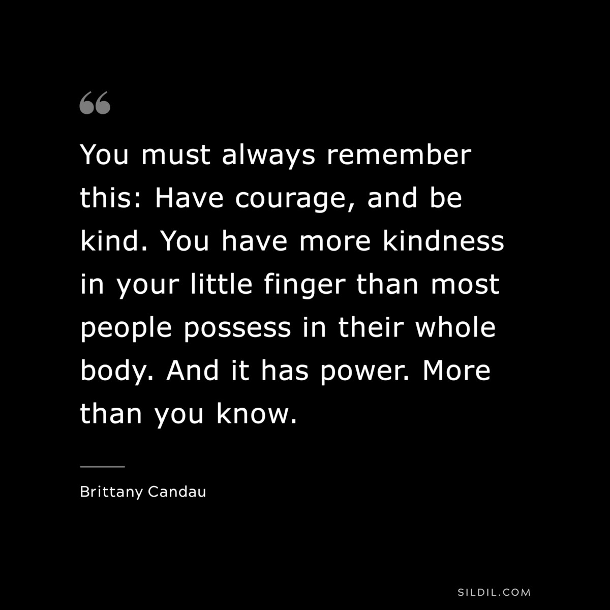 You must always remember this: Have courage, and be kind. You have more kindness in your little finger than most people possess in their whole body. And it has power. More than you know. ― Brittany Candau