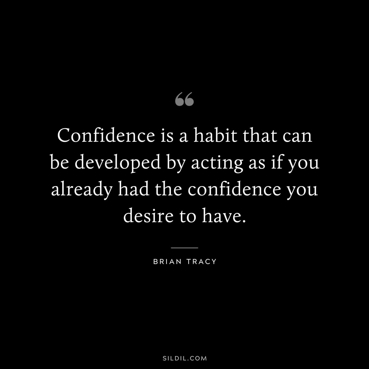 Confidence is a habit that can be developed by acting as if you already had the confidence you desire to have. ― Brian Tracy