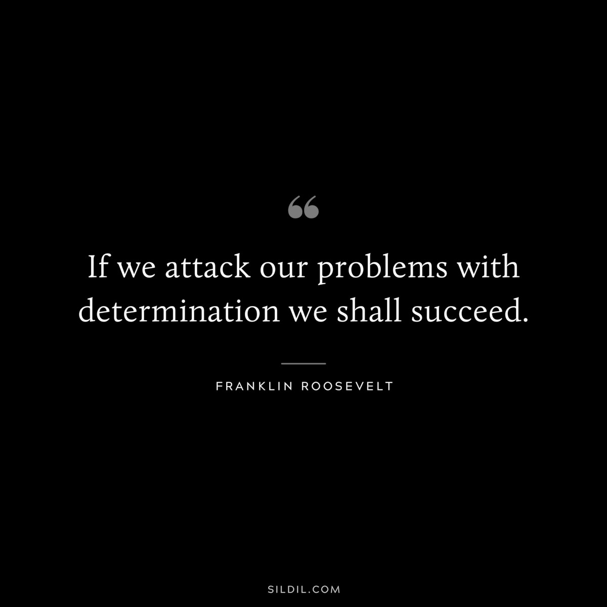 If we attack our problems with determination we shall succeed. ― Franklin Roosevelt