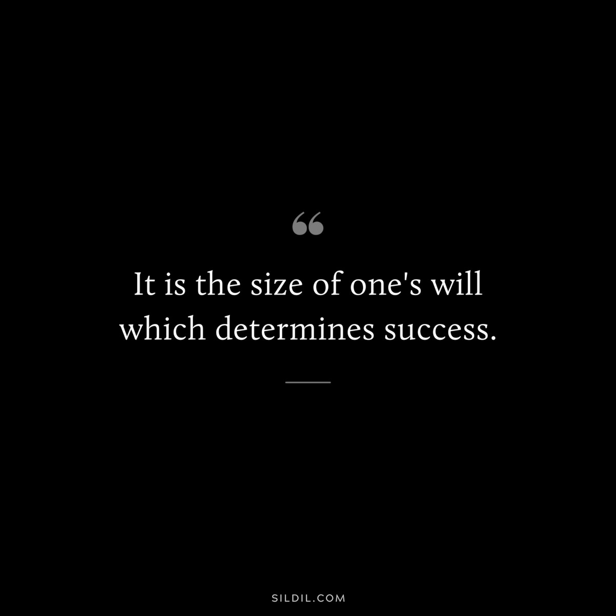 It is the size of one's will which determines success.