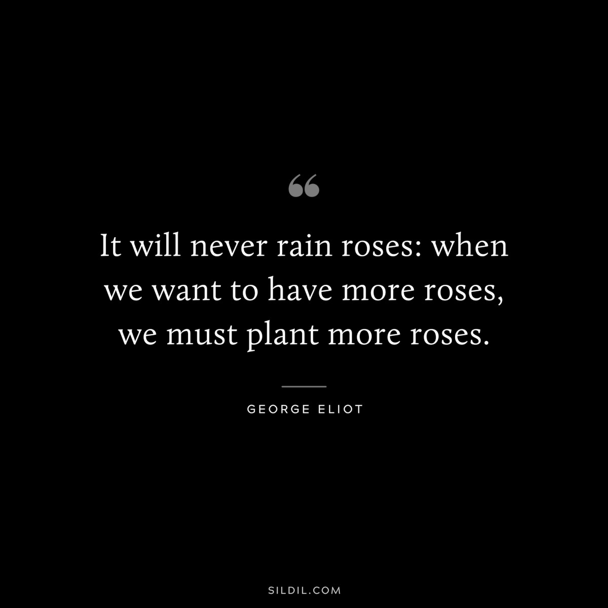 It will never rain roses: when we want to have more roses, we must plant more roses. ― George Eliot