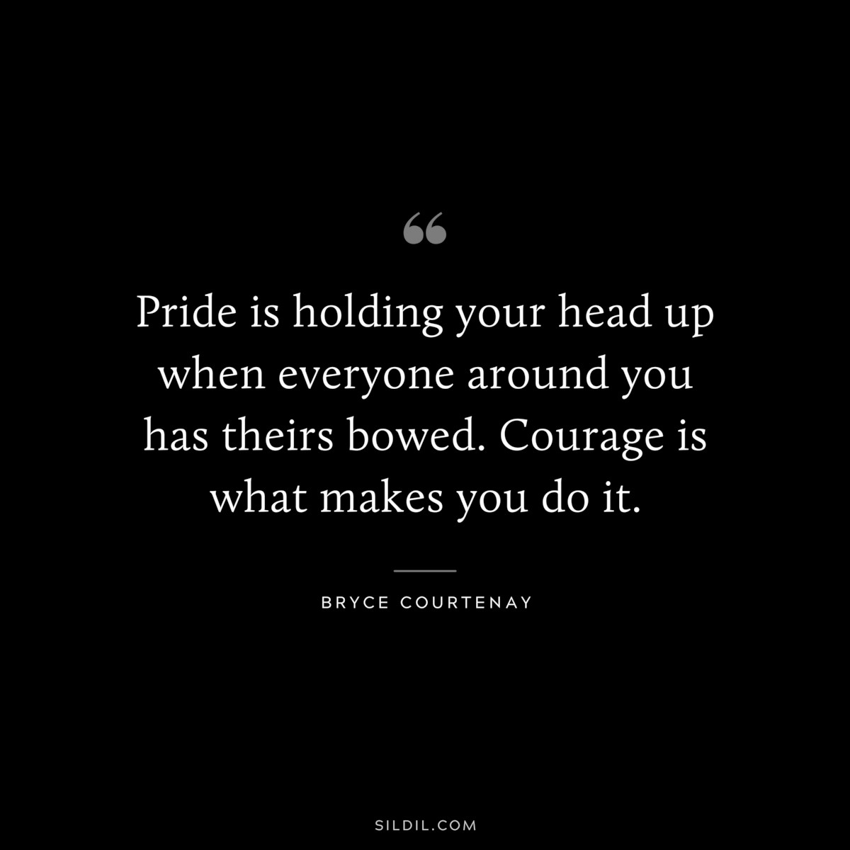 Pride is holding your head up when everyone around you has theirs bowed. Courage is what makes you do it. ― Bryce Courtenay