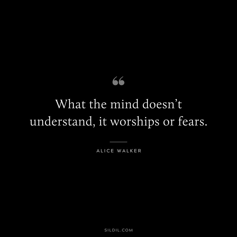 What the mind doesn’t understand, it worships or fears. ― Alice Walker