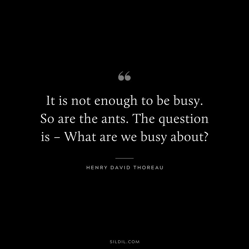 It is not enough to be busy. So are the ants. The question is – What are we busy about? ― Henry David Thoreau