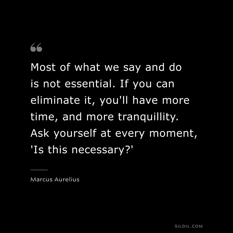 Most of what we say and do is not essential. If you can eliminate it, you'll have more time, and more tranquillity. Ask yourself at every moment, 'Is this necessary?' ― Marcus Aurelius