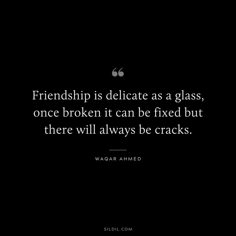 108 Friendship Quotes to Understand the Value of True Friendships