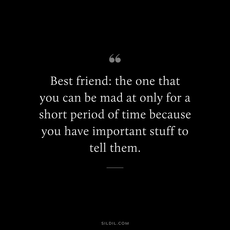 Best friend: the one that you can be mad at only for a short period of time because you have important stuff to tell them.