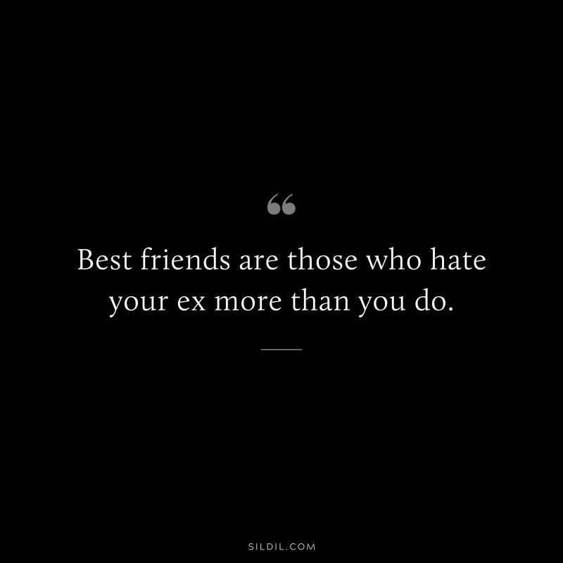 Best friends are those who hate your ex more than you do.