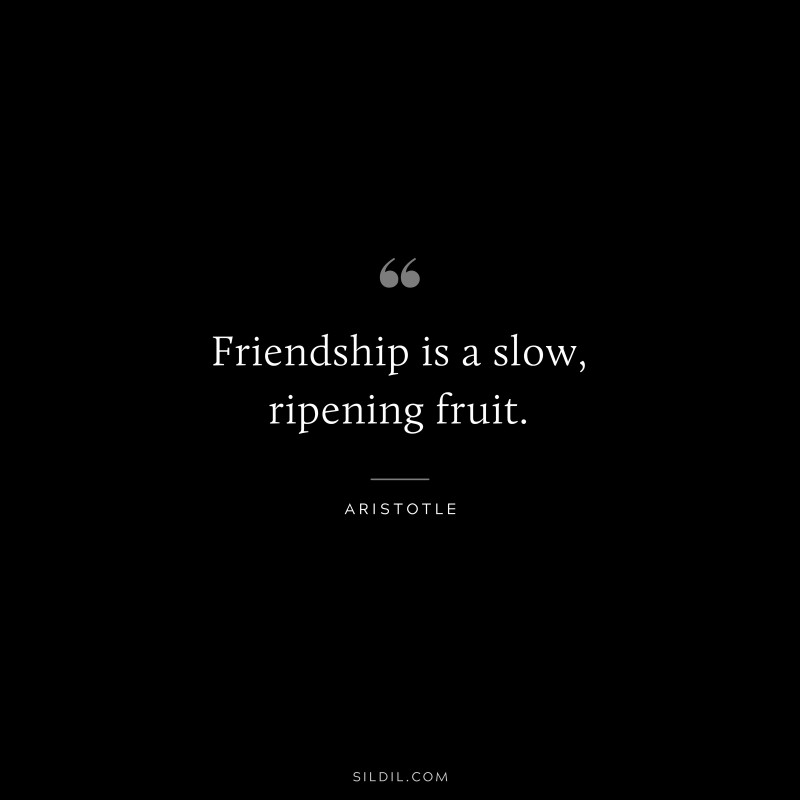 Friendship is a slow, ripening fruit. ― Aristotle