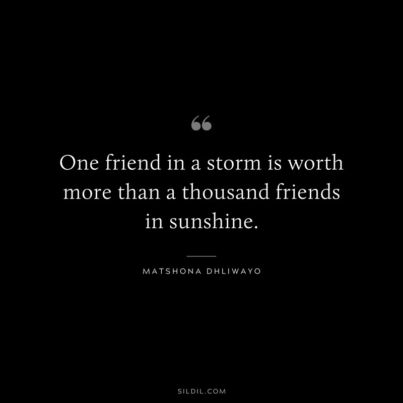 One friend in a storm is worth more than a thousand friends in sunshine. ― Matshona Dhliwayo