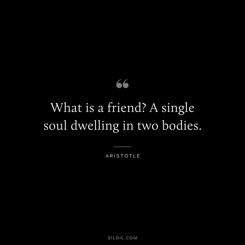 What is a friend? A single soul dwelling in two bodies. ― Aristotle