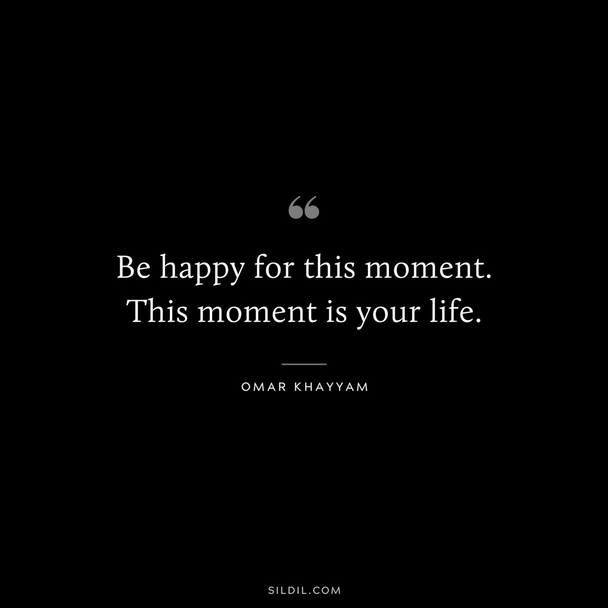 Be happy for this moment. This moment is your life. ― Omar Khayyam