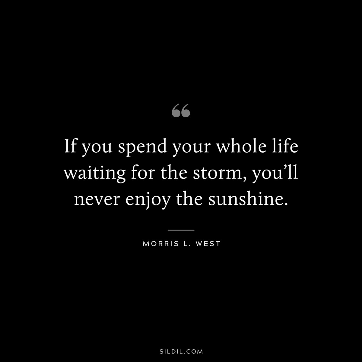 If you spend your whole life waiting for the storm, you’ll never enjoy the sunshine. ― Morris L. West