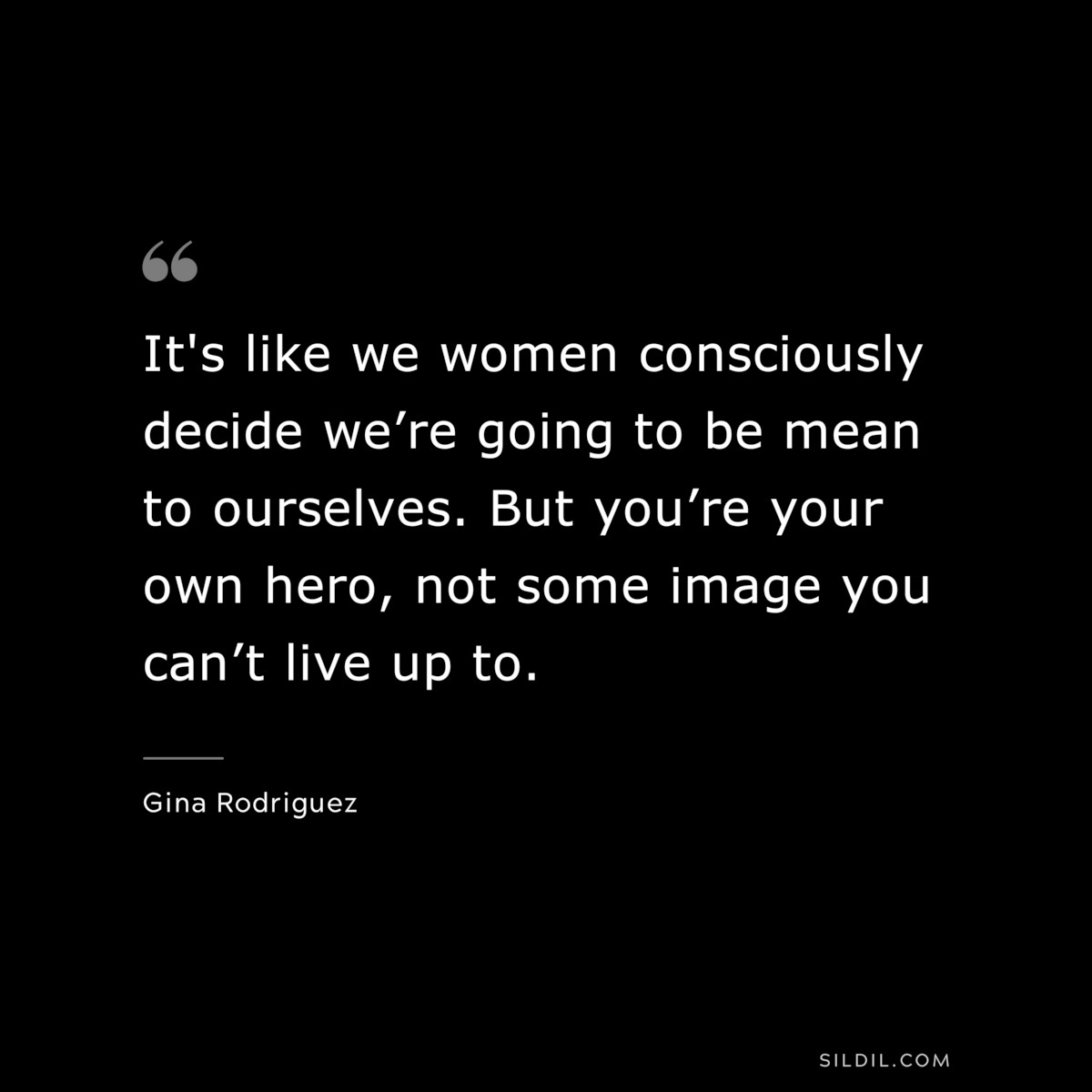 It's like we women consciously decide we’re going to be mean to ourselves. But you’re your own hero, not some image you can’t live up to. ― Gina Rodriguez