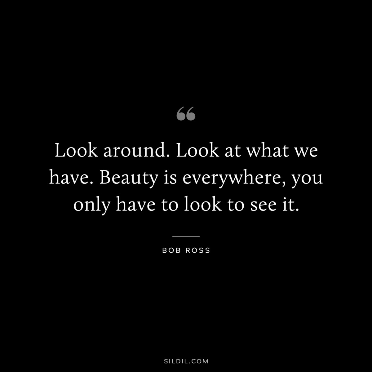 Look around. Look at what we have. Beauty is everywhere, you only have to look to see it. ― Bob Ross