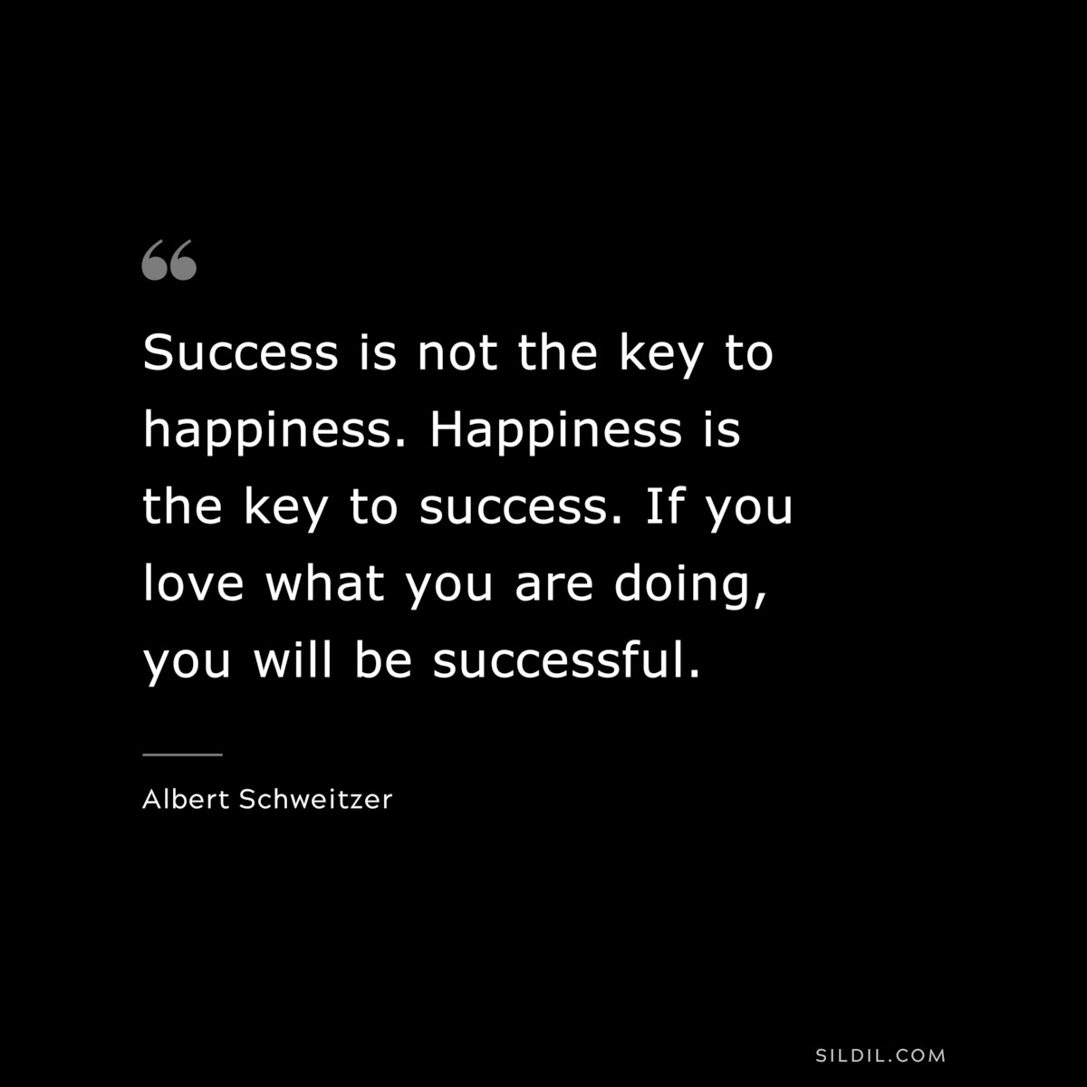 Success is not the key to happiness. Happiness is the key to success. If you love what you are doing, you will be successful. ― Albert Schweitzer