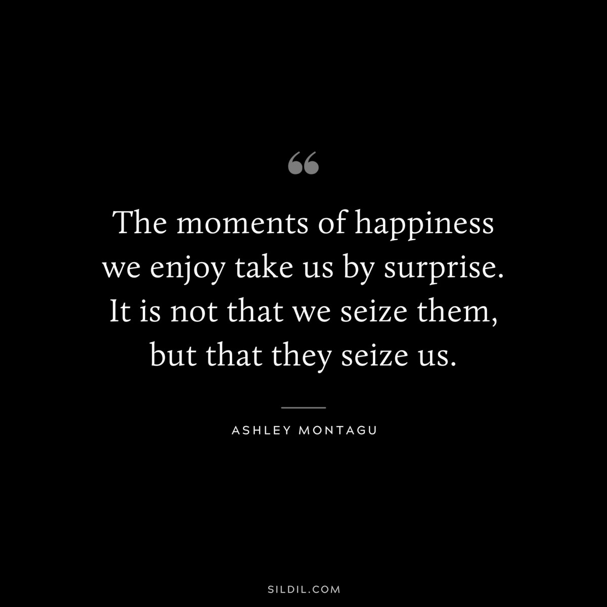 The moments of happiness we enjoy take us by surprise. It is not that we seize them, but that they seize us. ― Ashley Montagu