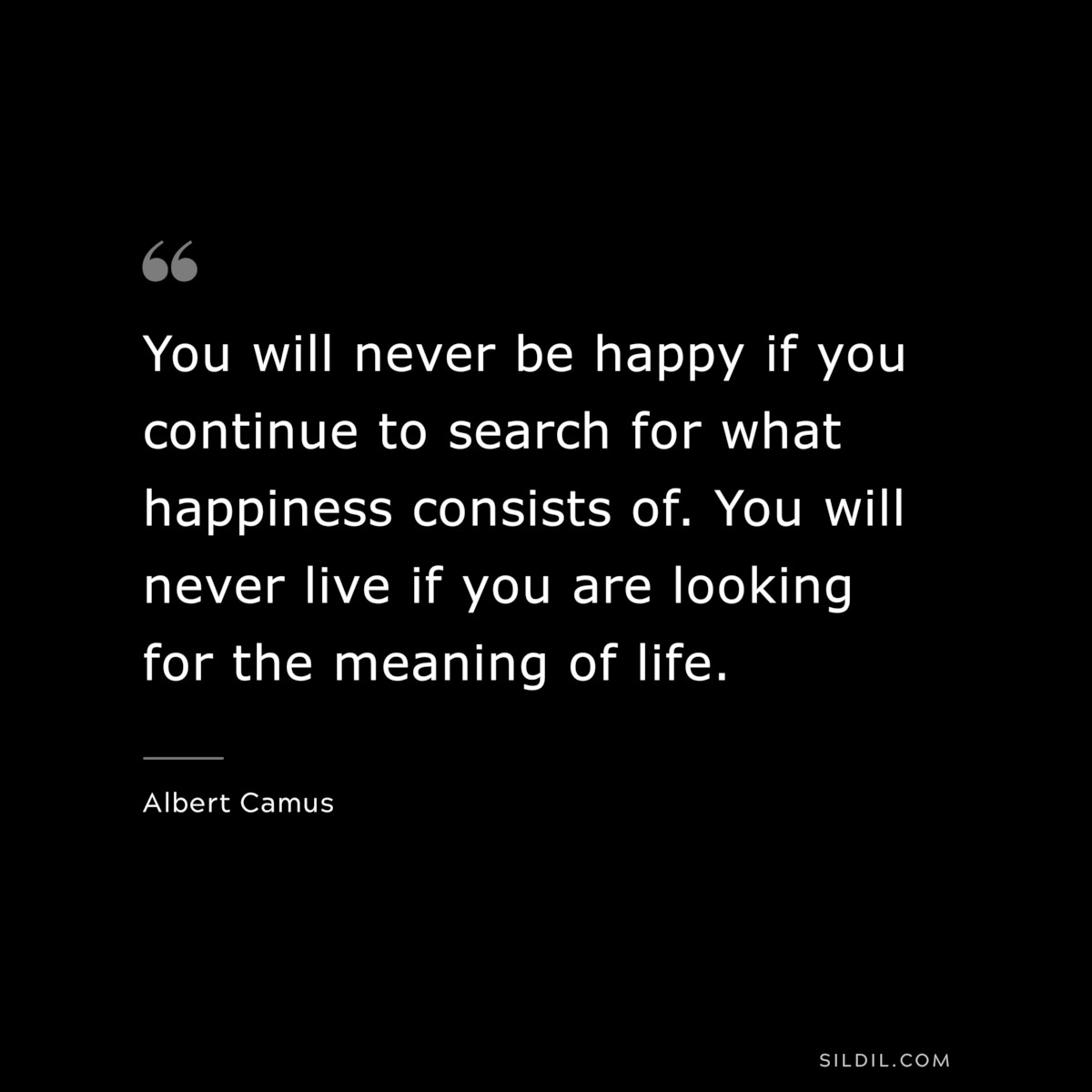 You will never be happy if you continue to search for what happiness consists of. You will never live if you are looking for the meaning of life. ― Albert Camus