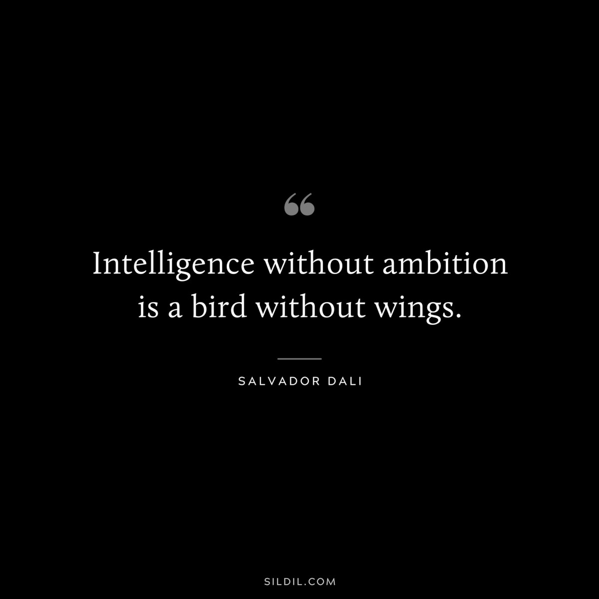 Intelligence without ambition is a bird without wings. ― Salvador Dali