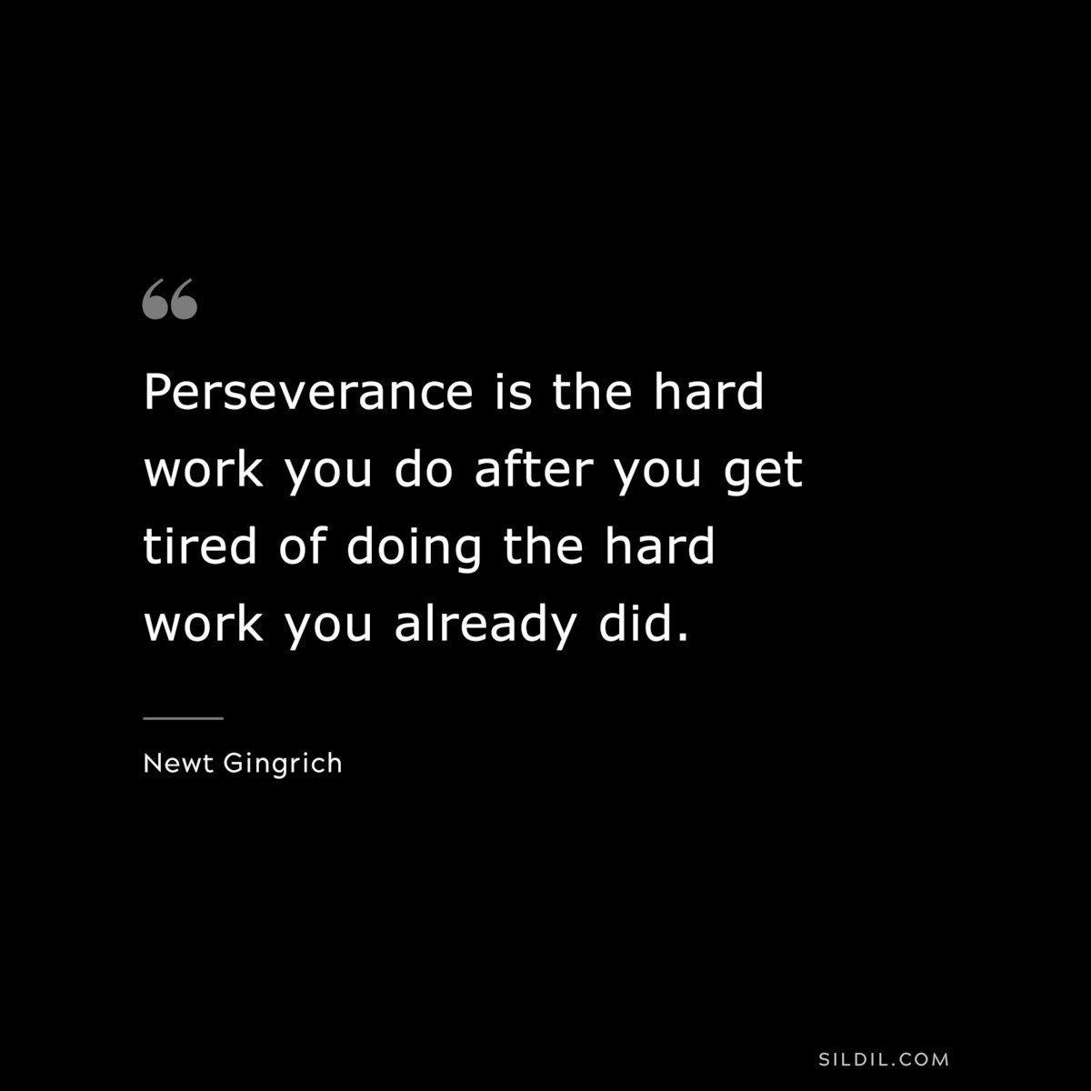Perseverance is the hard work you do after you get tired of doing the hard work you already did. ― Newt Gingrich