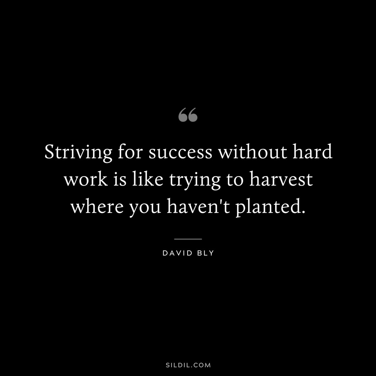 Striving for success without hard work is like trying to harvest where you haven't planted. ― David Bly 