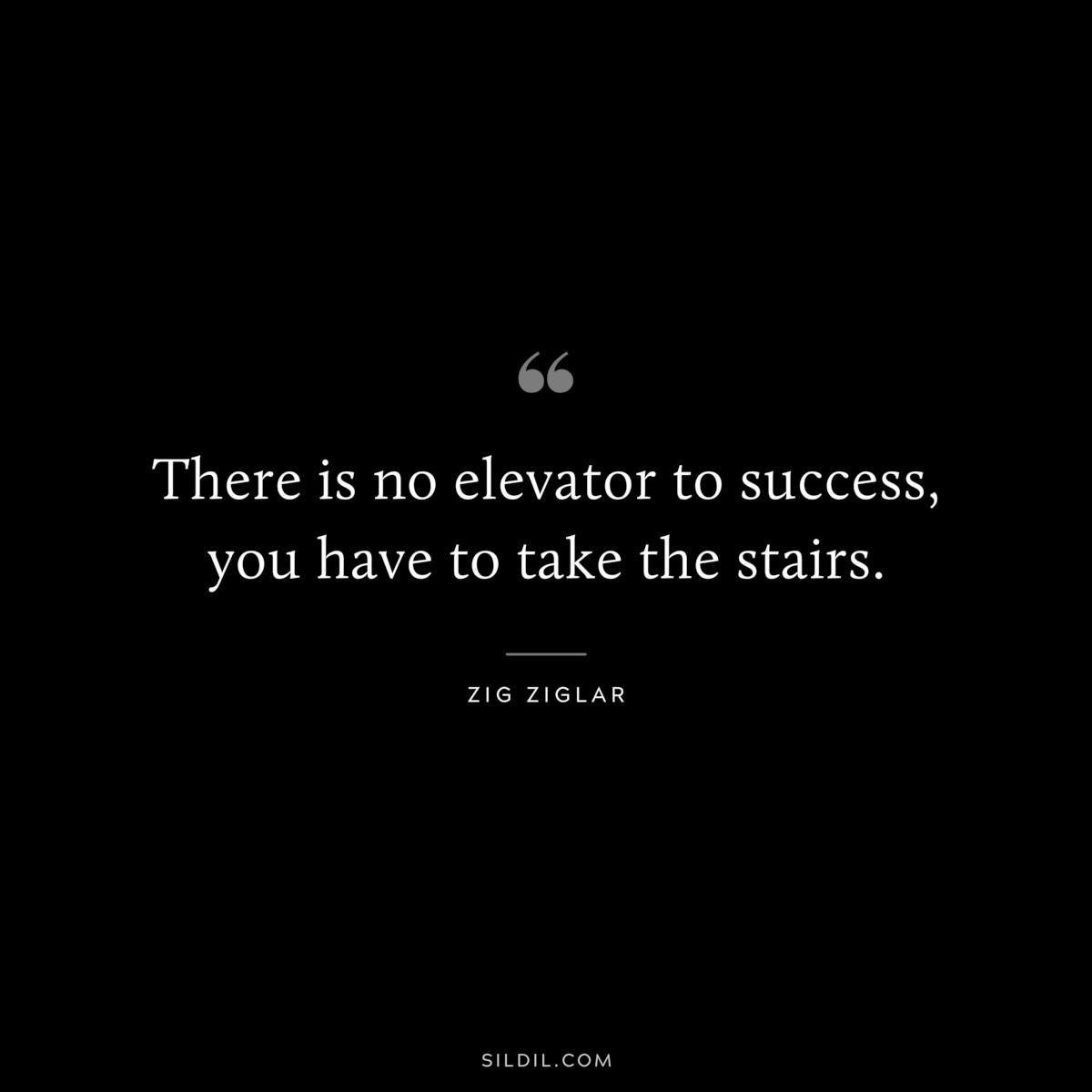 There is no elevator to success, you have to take the stairs. ― Zig Ziglar