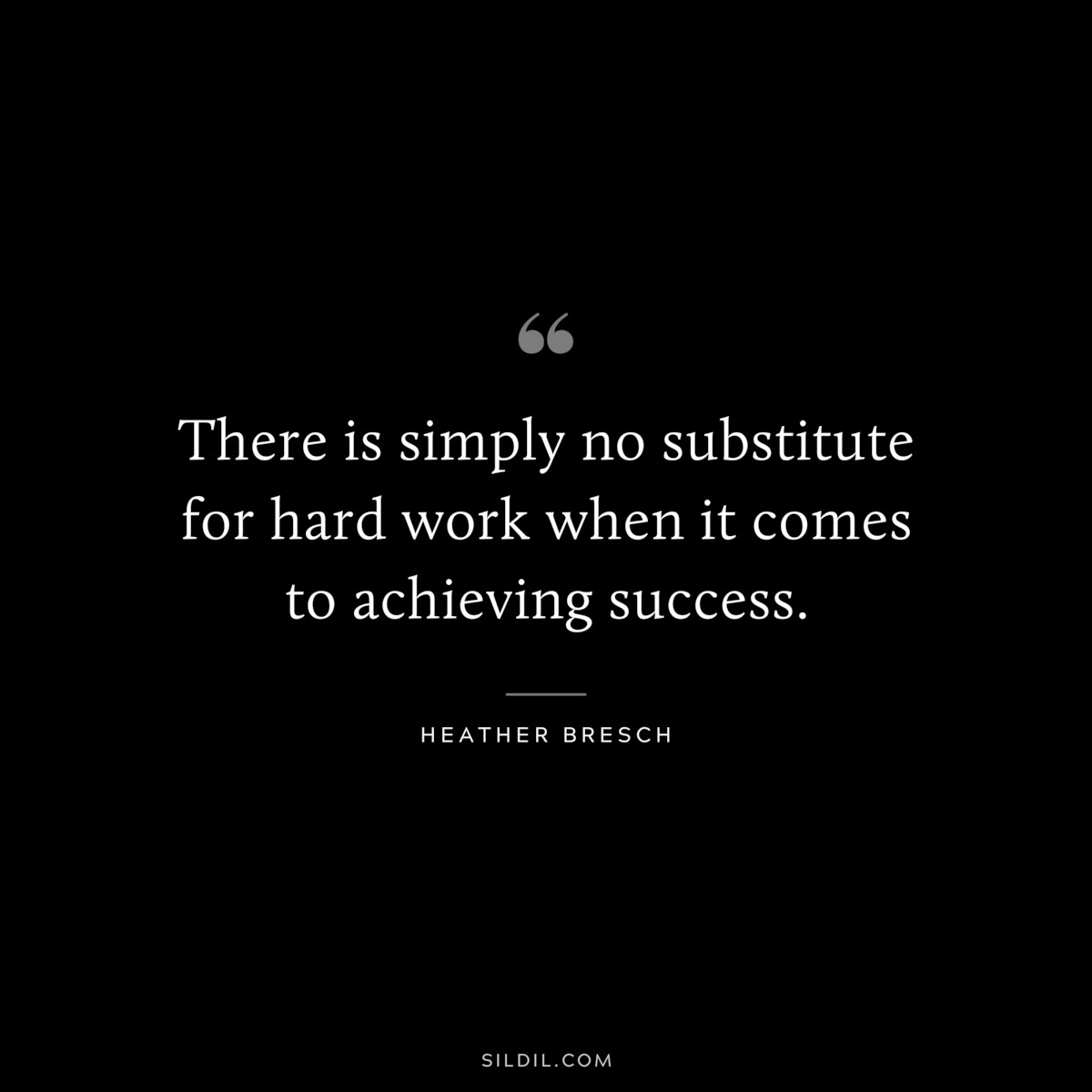 There is simply no substitute for hard work when it comes to achieving success. ― Heather Bresch