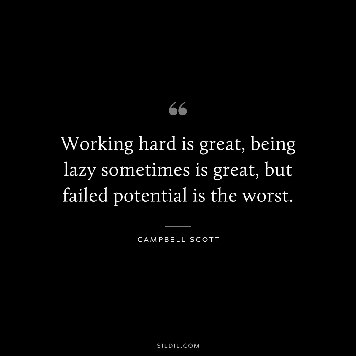 Working hard is great, being lazy sometimes is great, but failed potential is the worst. ― Campbell Scott
