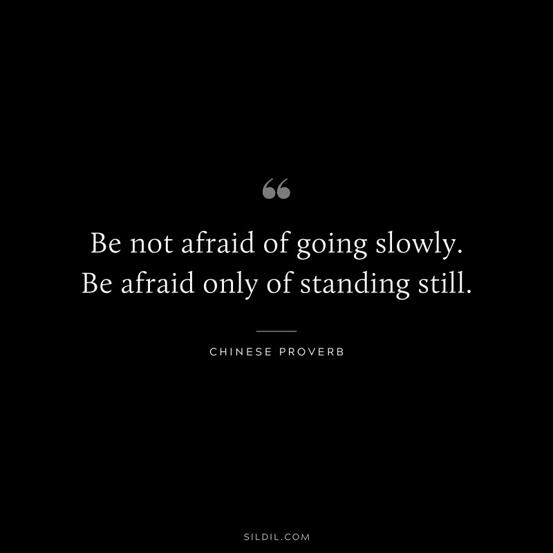 Be not afraid of going slowly. Be afraid only of standing still. ― Chinese Proverb