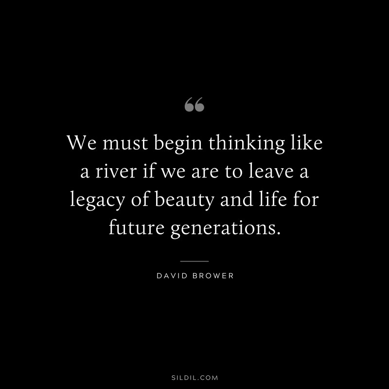 We must begin thinking like a river if we are to leave a legacy of beauty and life for future generations. ― David Brower