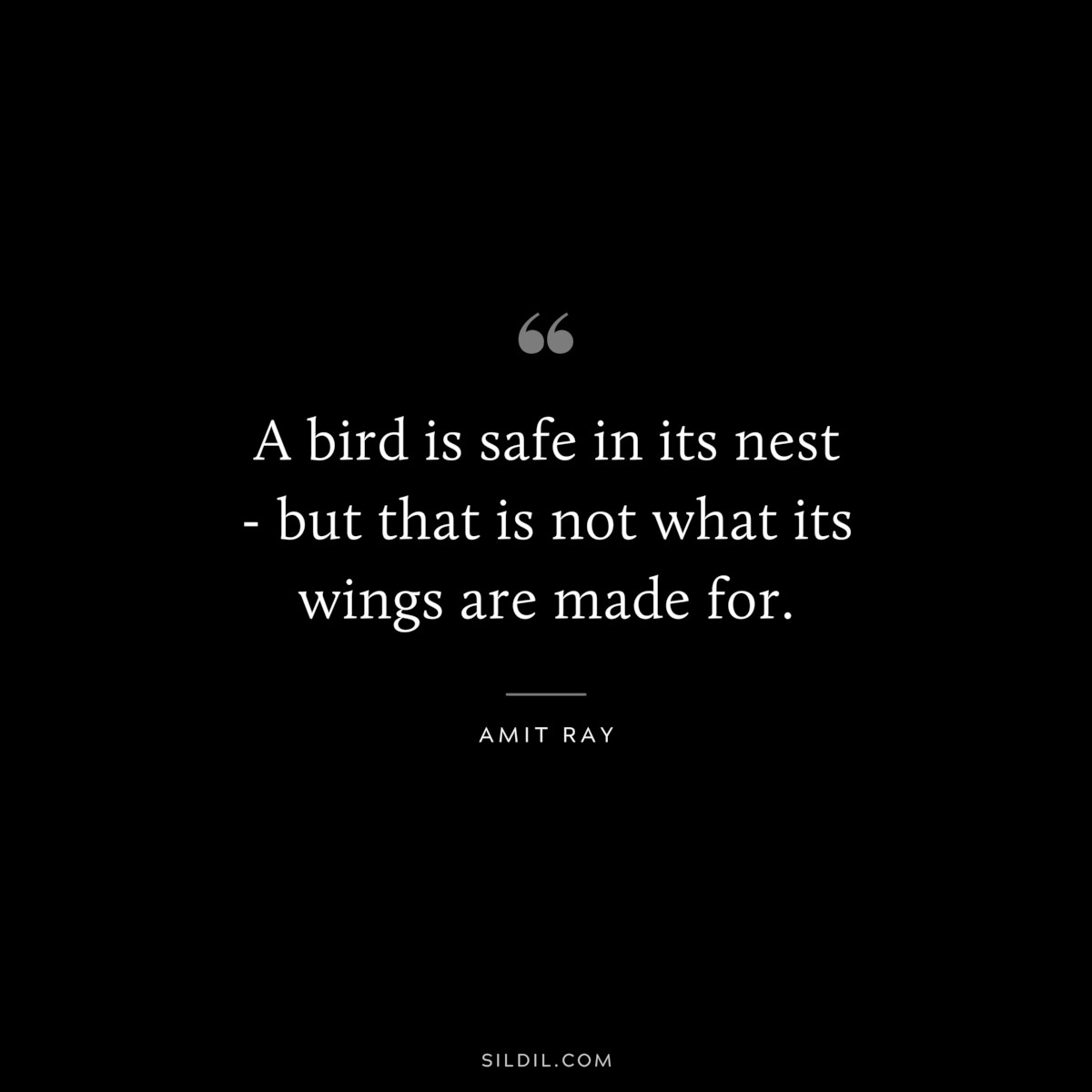 A bird is safe in its nest - but that is not what its wings are made for. ― Amit Ray