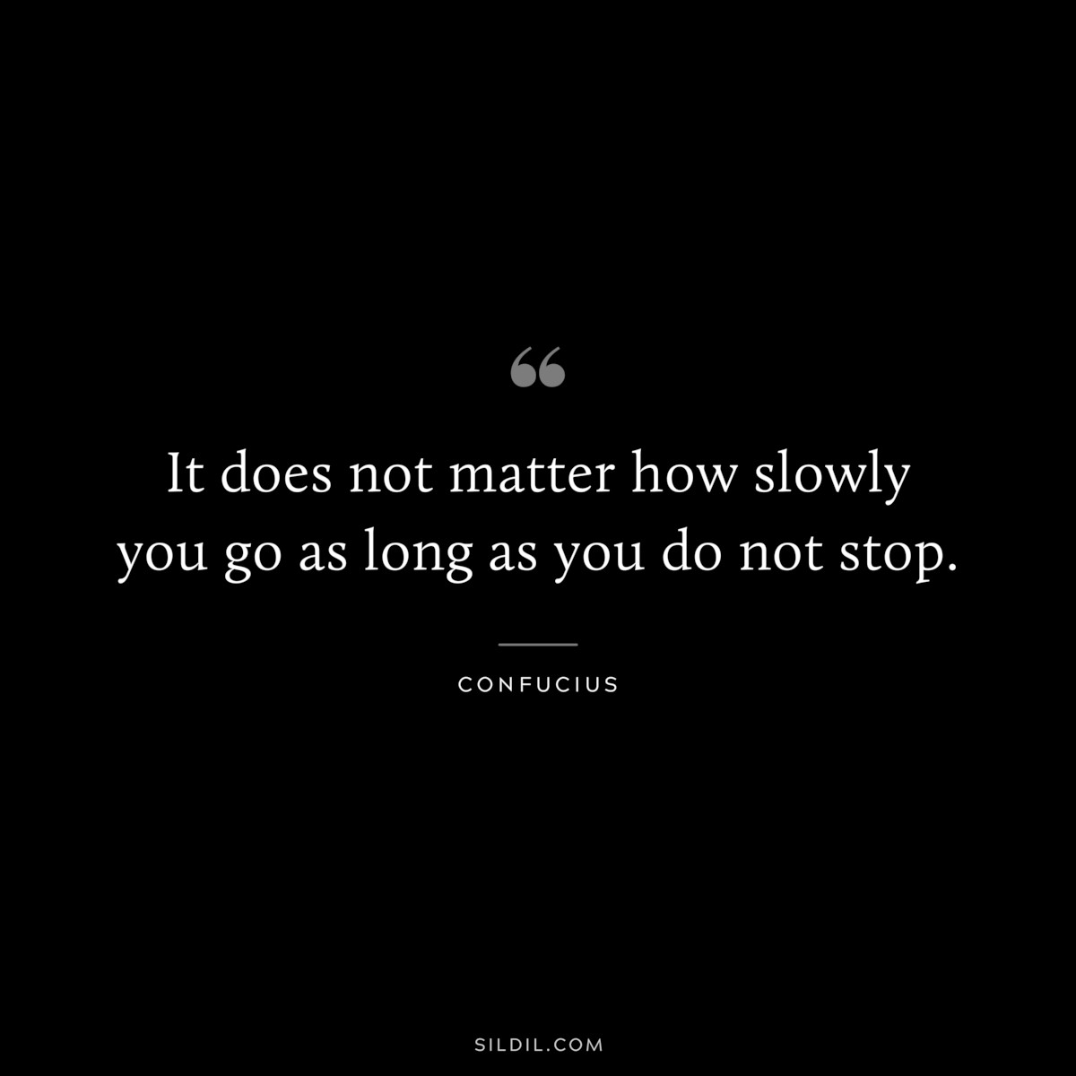 It does not matter how slowly you go as long as you do not stop. ― Confucius