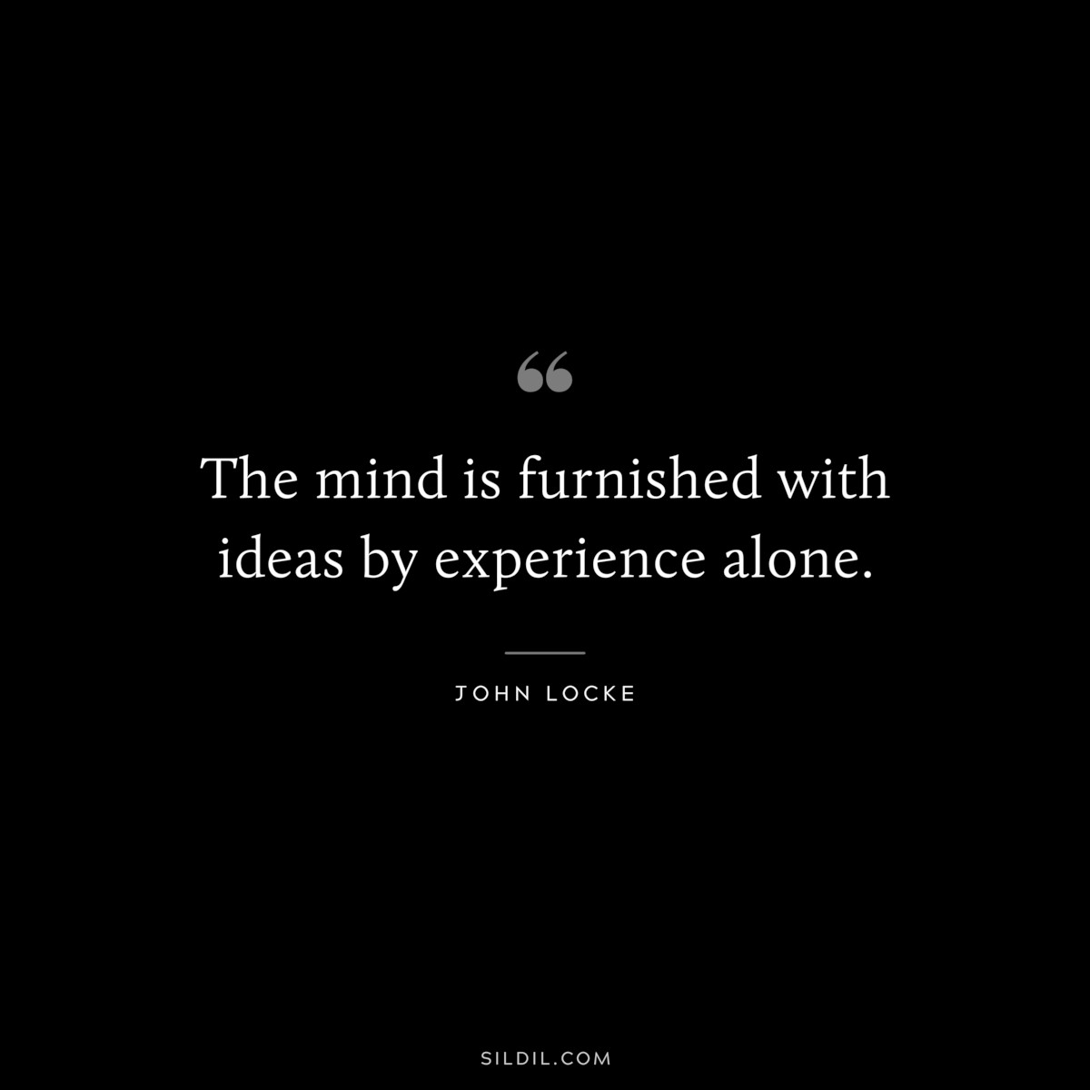 The mind is furnished with ideas by experience alone. ― John Locke