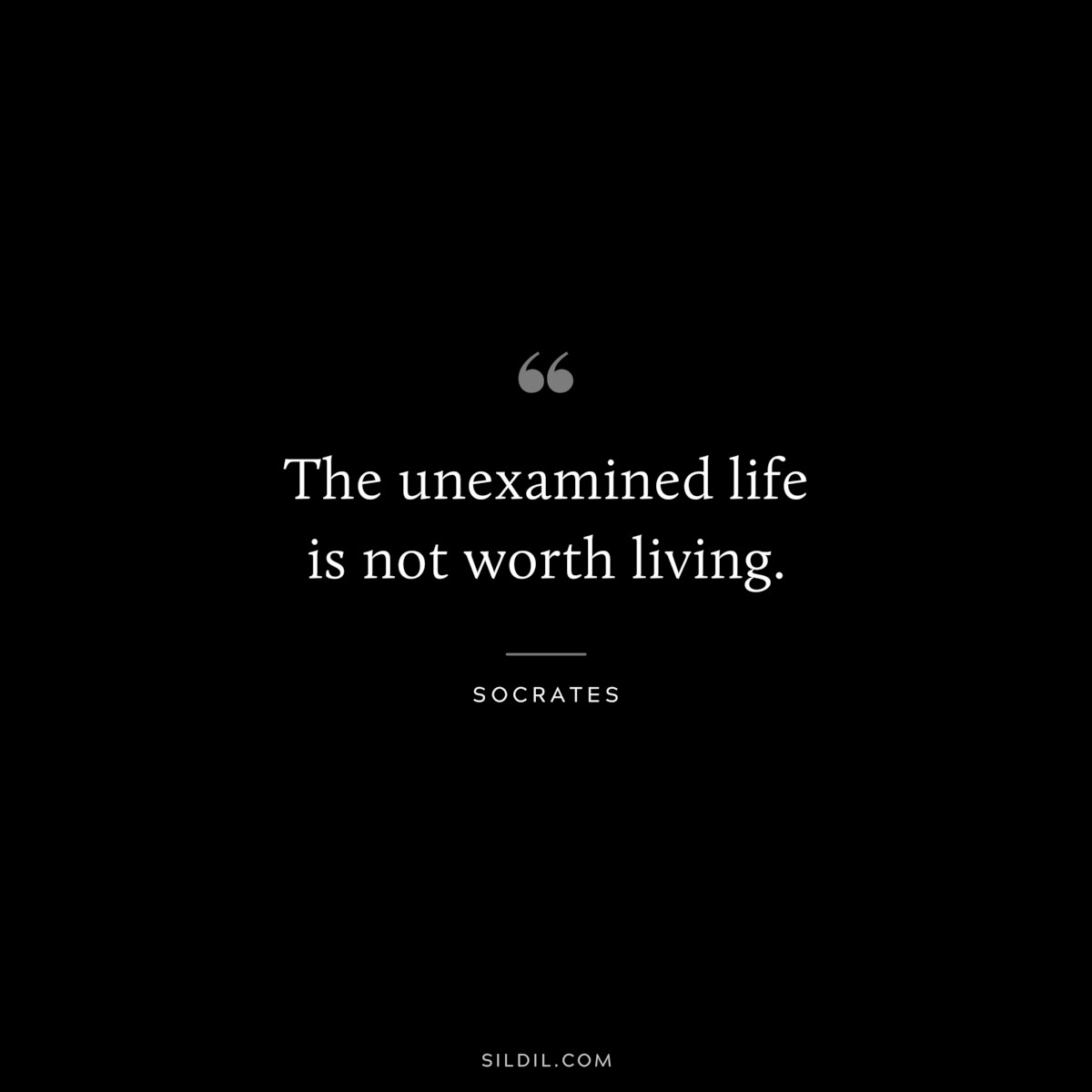 The unexamined life is not worth living. ― Socrates