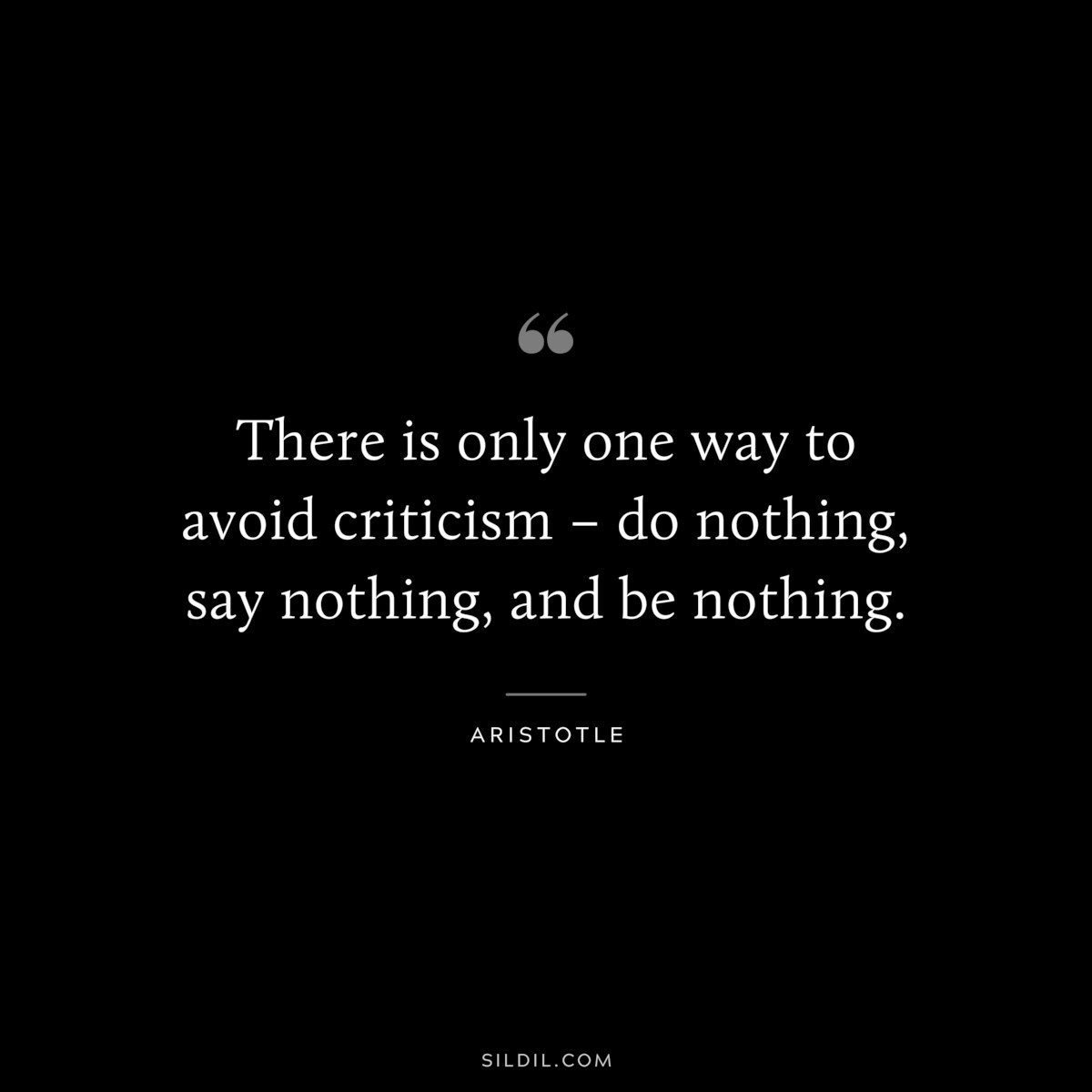 There is only one way to avoid criticism – do nothing, say nothing, and be nothing. ― Aristotle