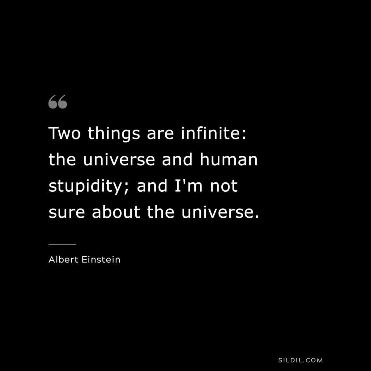 Two things are infinite: the universe and human stupidity; and I'm not sure about the universe. ― Albert Einstein