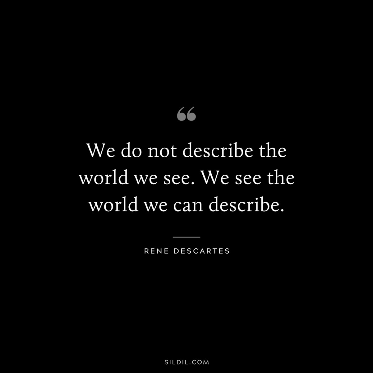 We do not describe the world we see. We see the world we can describe. ― Rene Descartes