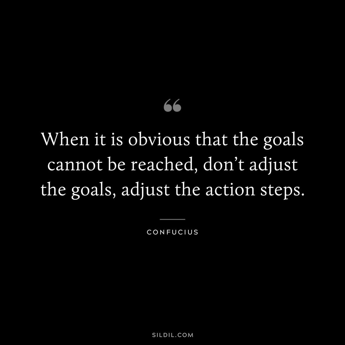 When it is obvious that the goals cannot be reached, don’t adjust the goals, adjust the action steps. ― Confucius