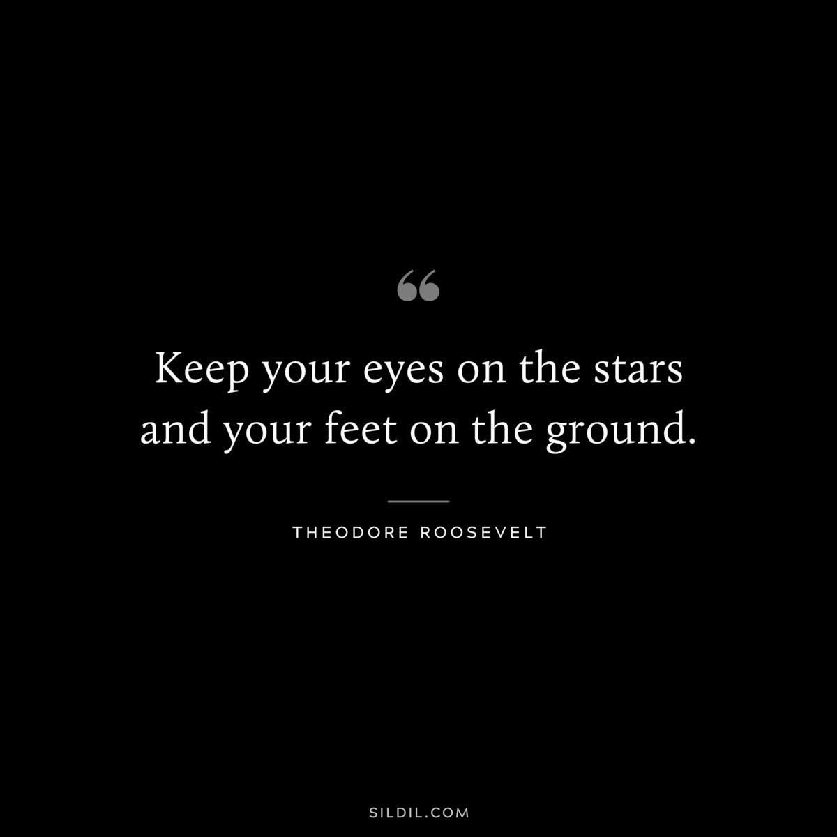 Keep your eyes on the stars and your feet on the ground. ― Theodore Roosevelt