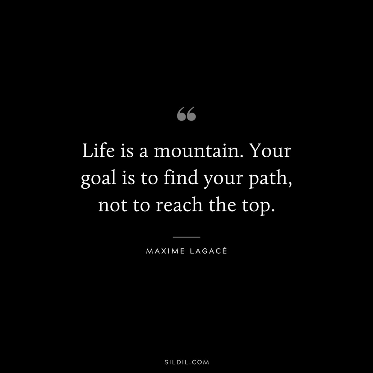 Life is a mountain. Your goal is to find your path, not to reach the top. ― Maxime Lagacé