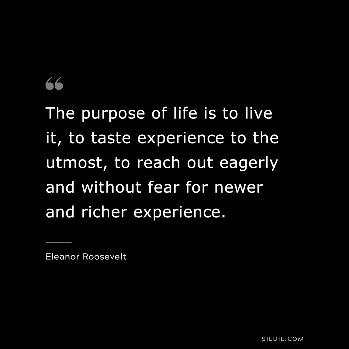 The purpose of life is to live it, to taste experience to the utmost, to reach out eagerly and without fear for newer and richer experience. ― Eleanor Roosevelt