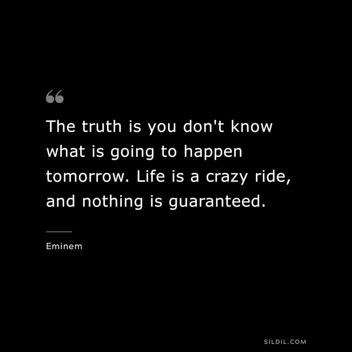 The truth is you don't know what is going to happen tomorrow. Life is a crazy ride, and nothing is guaranteed. ― Eminem
