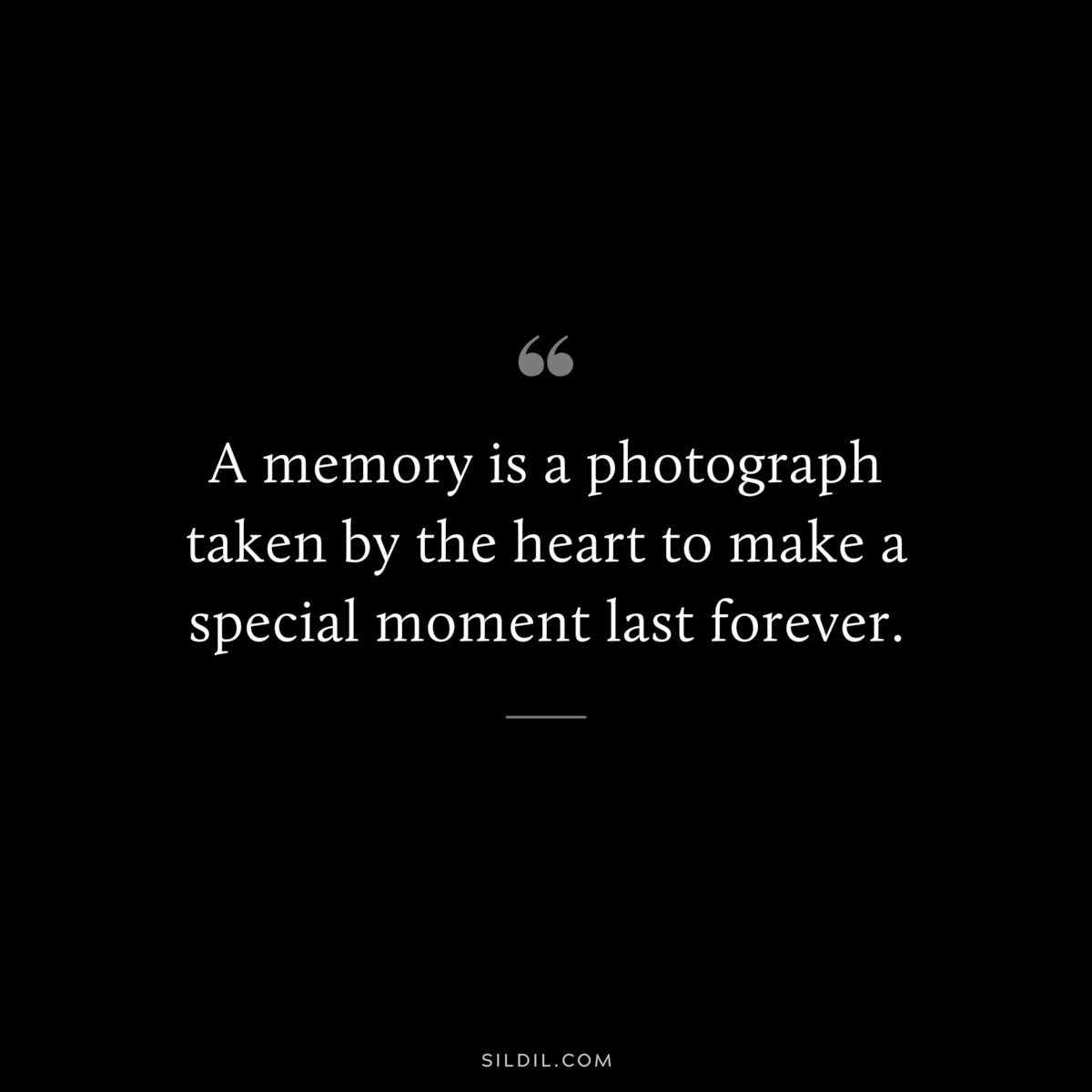 A memory is a photograph taken by the heart to make a special moment last forever.
